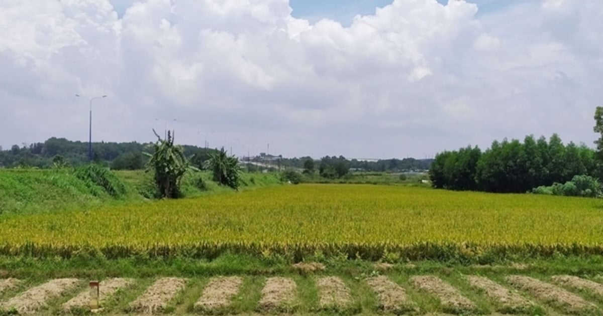 Règlement sur les critères et conditions de changement d'affectation des sols de moins de 2 hectares