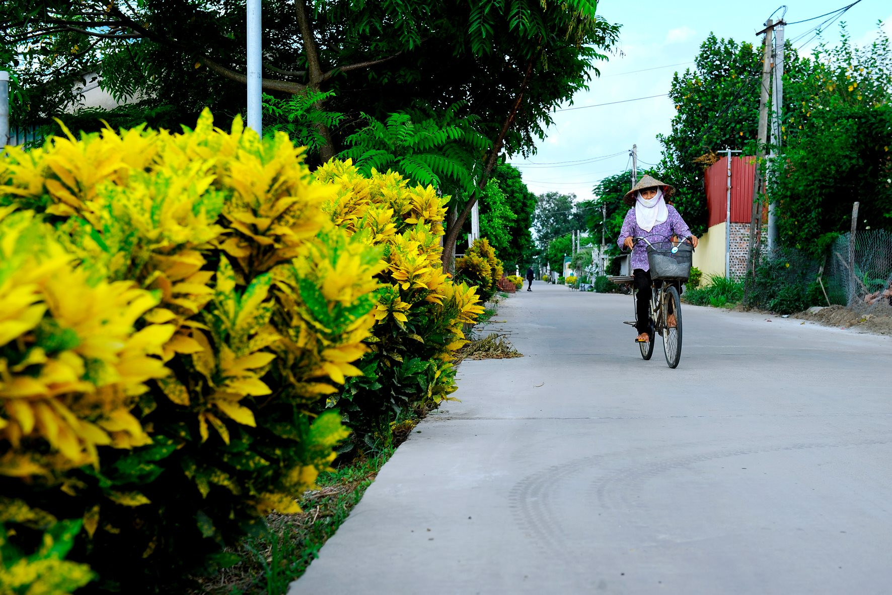 Những con đường kiểu mẫu ở Hải Dương