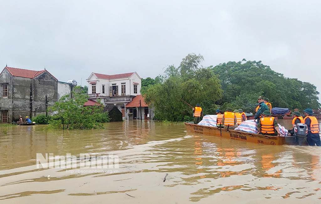 Nho Quan assure la vie des personnes touchées par les inondations