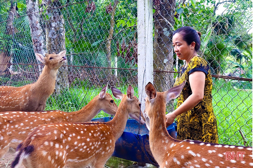 สถานประกอบการ OCOP ที่เป็นเจ้าของโดยผู้หญิงในห่าติ๋ญ