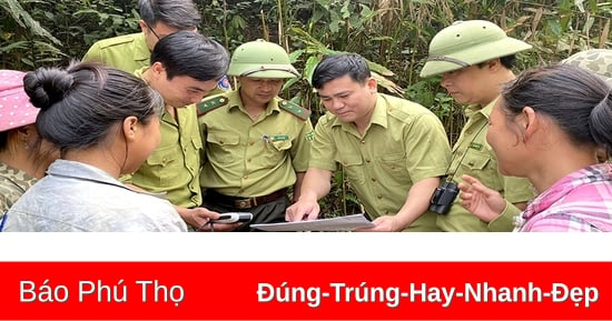 Thêm động lực đầu tư bảo vệ, phát triển rừng