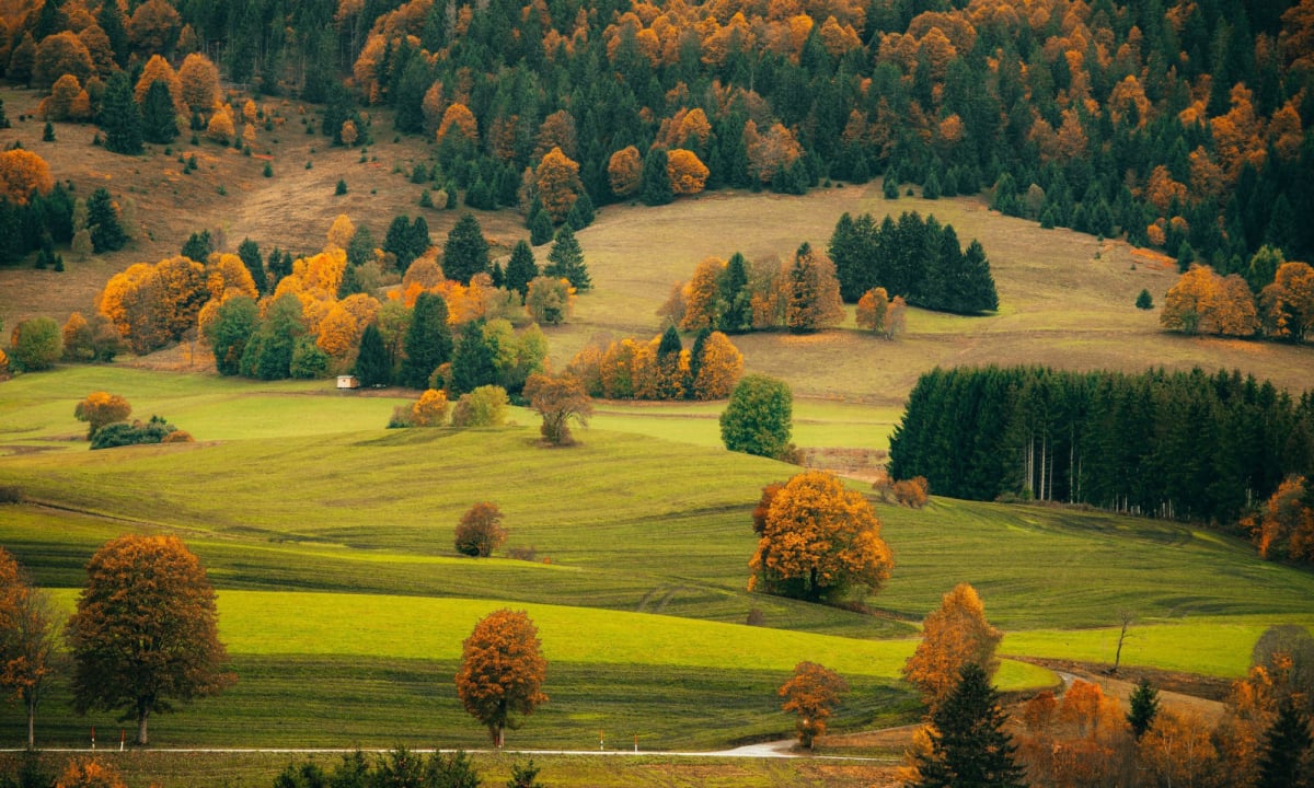 Осенний пейзаж на юге Германии.