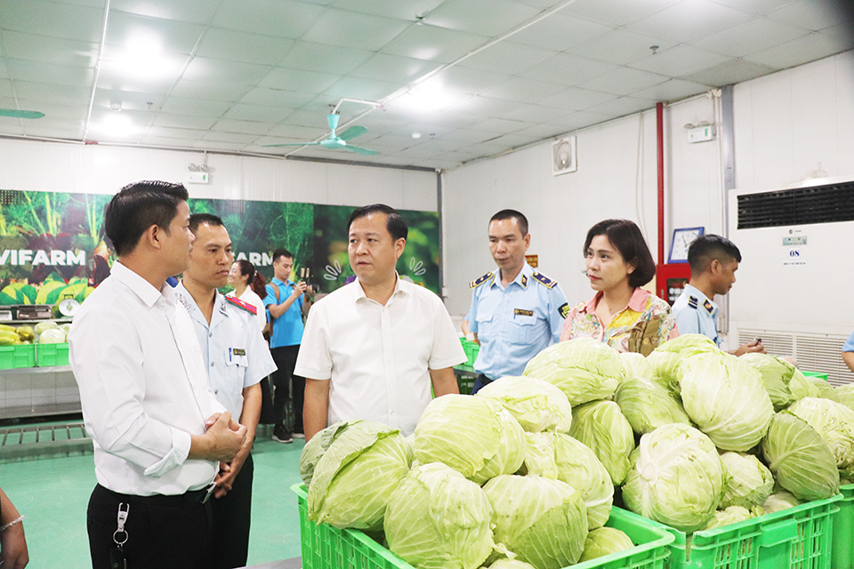 La délégation interdisciplinaire de la ville de Hanoi a inspecté les établissements sûrs de production et de commerce de légumes dans le district de Thanh Tri.