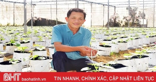 Phát huy vai trò chủ thể của nông dân trong phát triển nông nghiệp, kinh tế nông thôn, xây dựng nông thôn mới