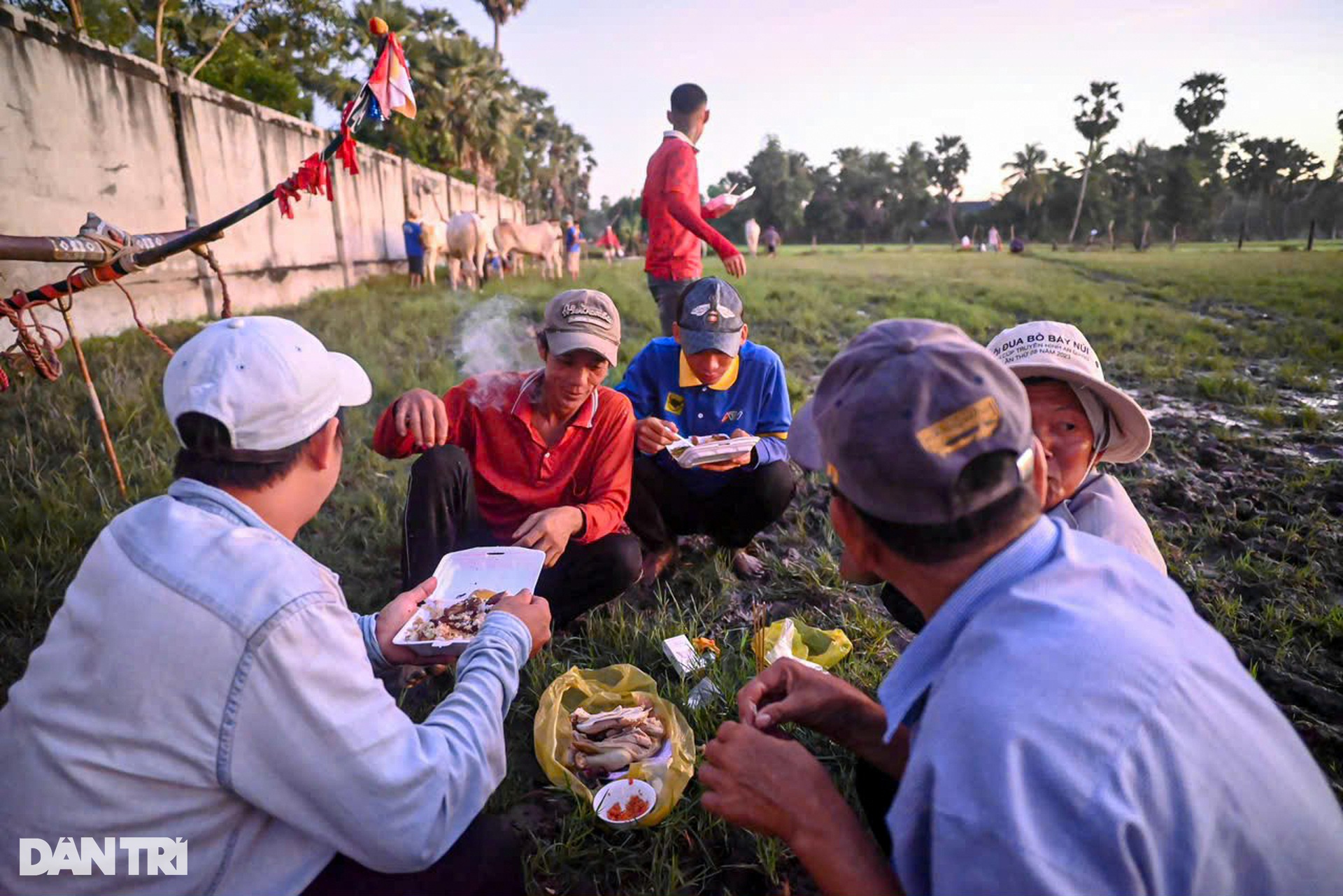 Hội đua bò Bảy Núi nhộn nhịp từ 2 giờ sáng - 11