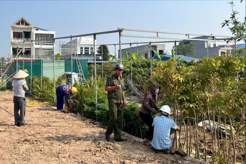 4 households violating on agricultural land in Thanh Cuong commune (Thanh Ha) voluntarily dismantled the construction.