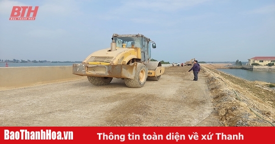 Travaux urgents pour réparer et compléter le système de digues fragiles de Thanh Hoa