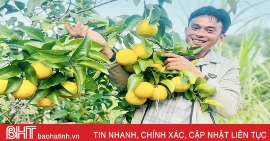 Sẵn sàng cho lễ hội cam và sản phẩm nông nghiệp Hà Tĩnh  