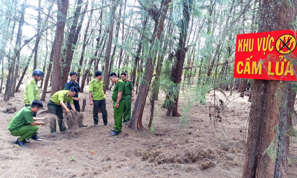 Thủ tướng Chính phủ yêu cầu tăng cường các biện pháp cấp bách phòng cháy, chữa cháy rừng