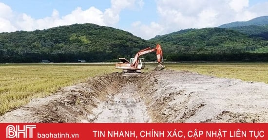 Tân Lộc hướng tới mục tiêu mỗi hộ chỉ sản xuất một thửa ruộng quy mô lớn