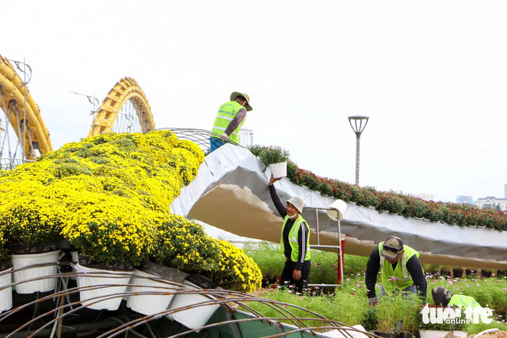 Impressive snake mascot about to 'debut' in Da Nang - Photo 6.