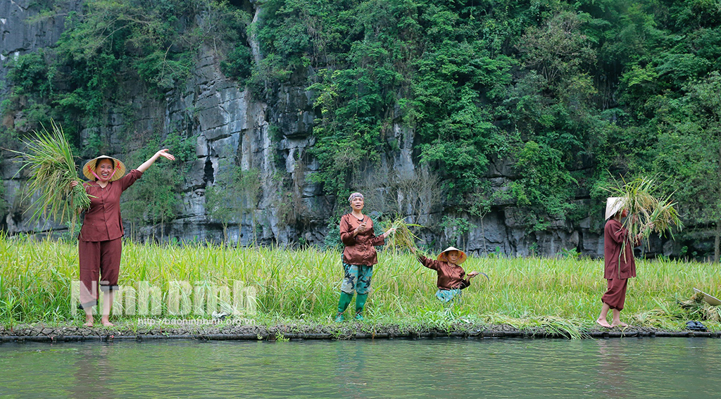 សប្តាហ៍ទេសចរណ៍ Ninh Binh - កន្លែងគោរពតម្លៃកសិកម្មពិសេស