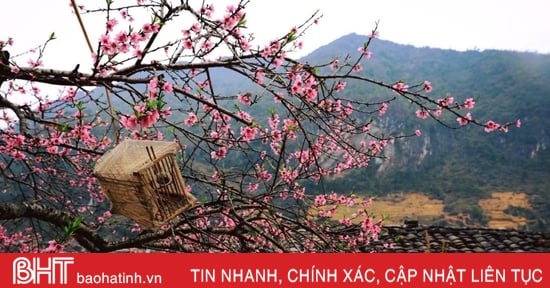 Hoa về trên những bàn tay...