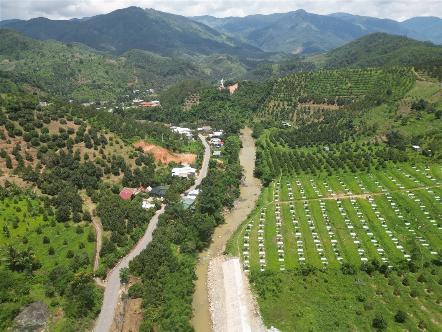 Một vùng trồng cây ăn quả tại huyện Khánh Sơn.