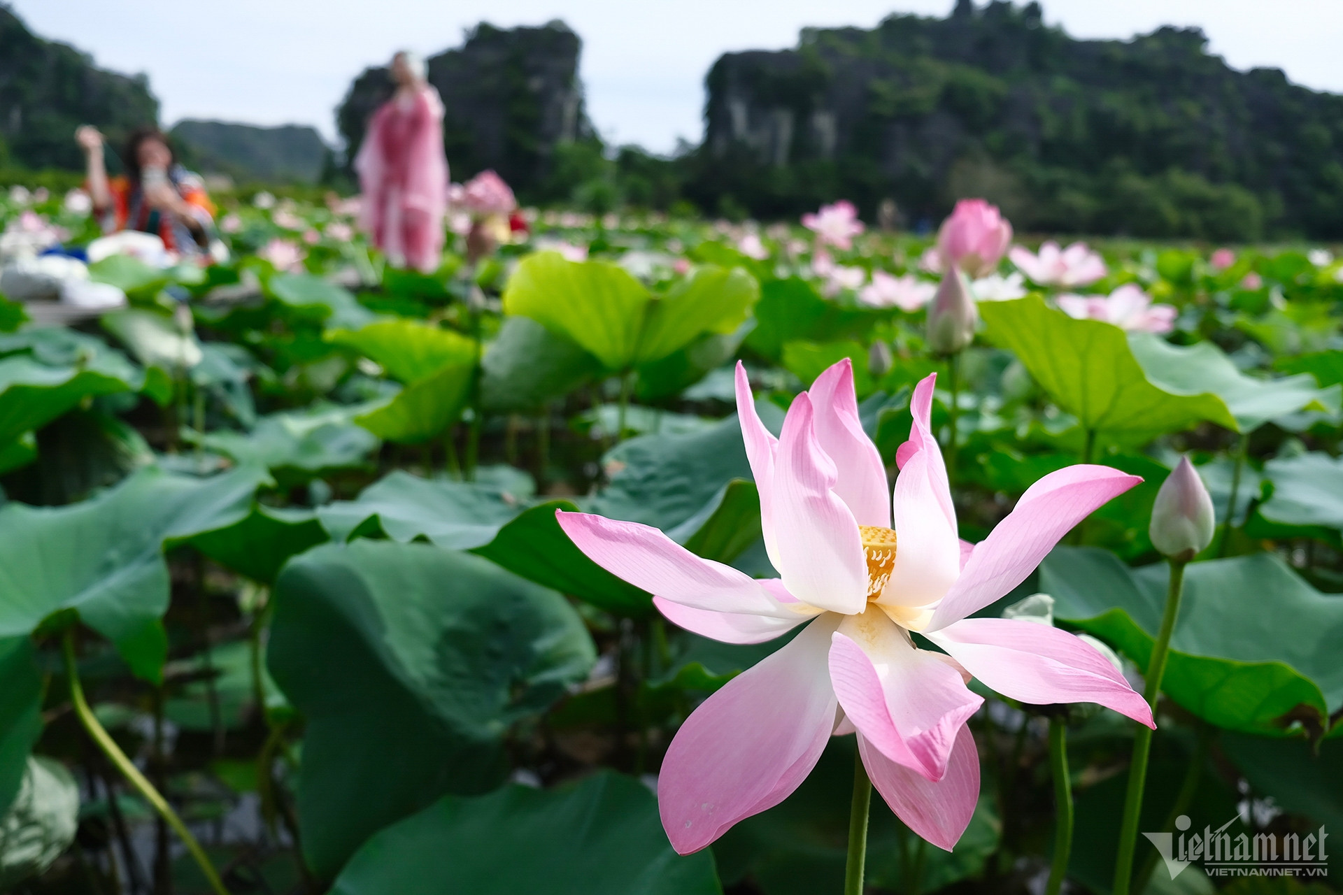 W-du lich, ninh binh 5.jpg