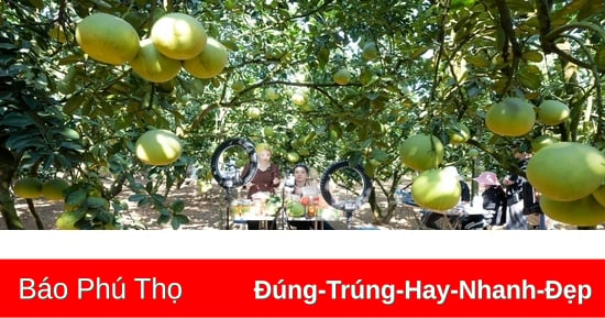 Nâng cao hiệu quả chuyển đổi số kinh tế tập thể