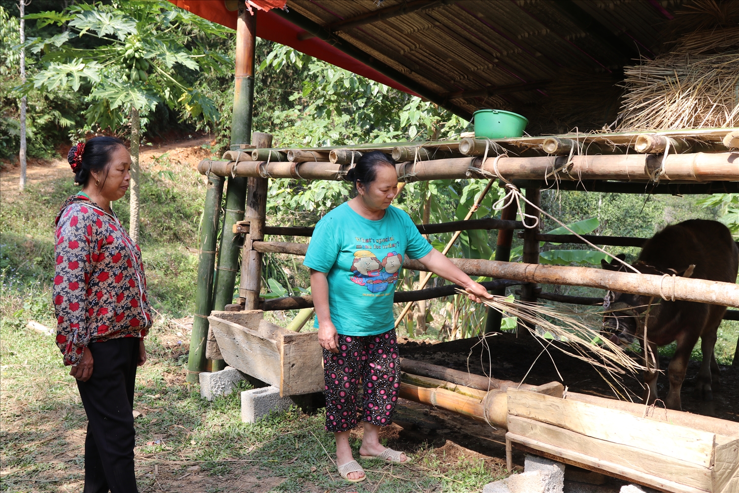 Người dân thôn Phan Thanh, xã Đề Thám, huyện Tràng Định được hỗ trợ trâu để phát triển sản xuất