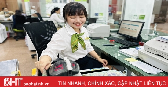 Why do credit institutions in Ha Tinh have "excess money"?