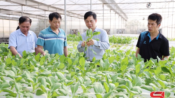 Nouvelles orientations dans la production agricole de haute technologie