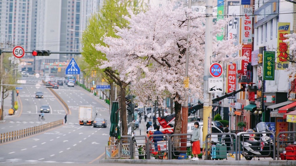 韓国旅行時に持ち込みが禁止されているもの