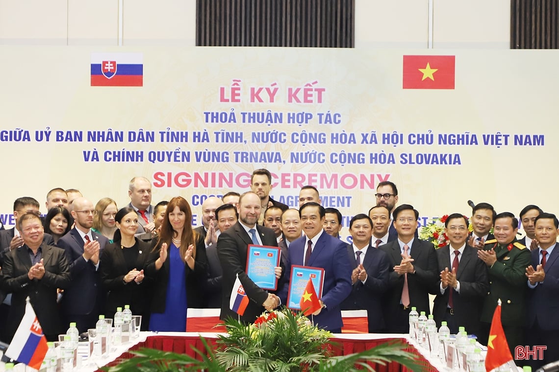 Ha Tinh promotes and attracts foreign investment