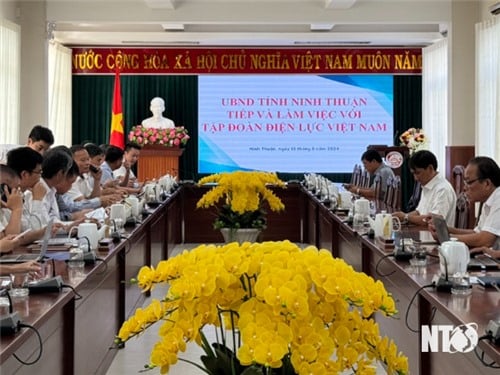 Provincial People's Committee leaders work with Vietnam Electricity Group on electricity supply situation