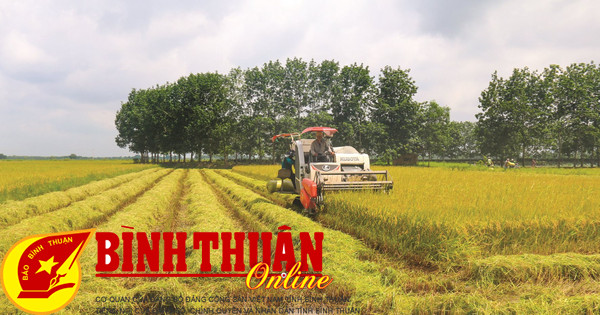 Phát triển ngành nông nghiệp tương xứng với vai trò, vị trí là 1 trong 3 trụ cột kinh tế của tỉnh