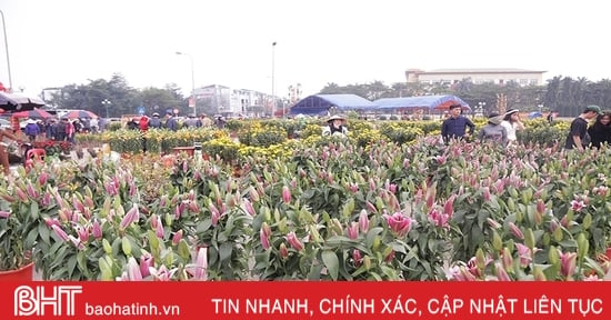 UBND tỉnh chỉ thị tổ chức các hoạt động đón Tết vui tươi, lành mạnh, an toàn, tiết kiệm