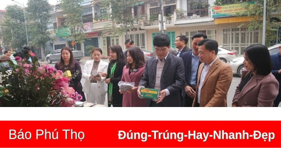 Trưng bày, giới thiệu sản phẩm OCOP, nông sản trong và ngoài tỉnh