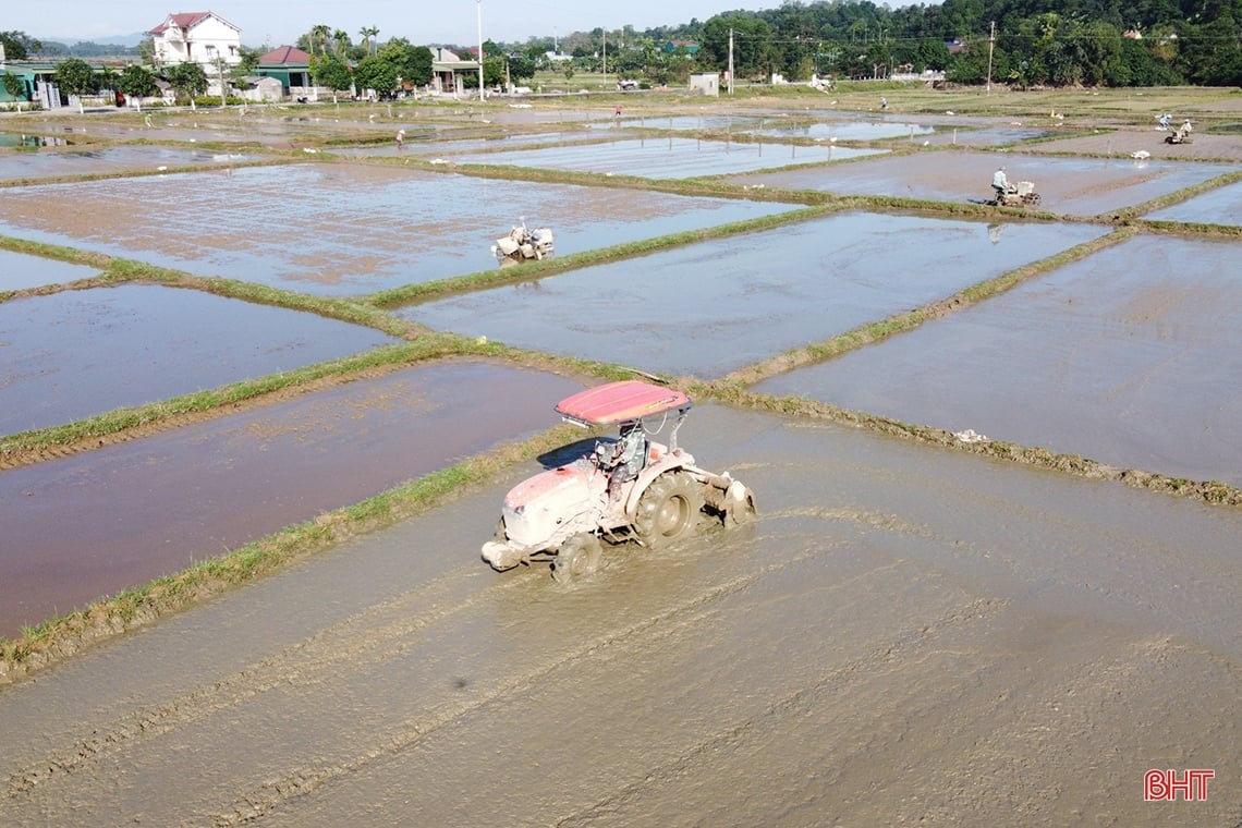 Nông dân Hà Tĩnh “đua” tiến độ gieo cấy lúa xuân