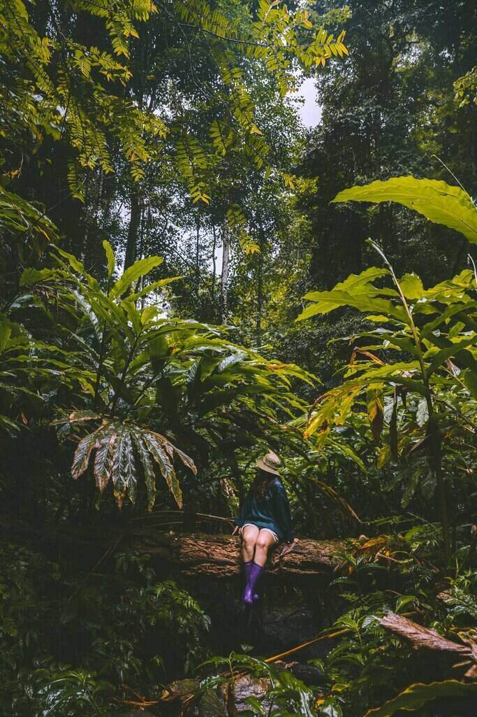 Perdu dans la forêt de conte de fées à Tenh Phong. Photo : Le Vi