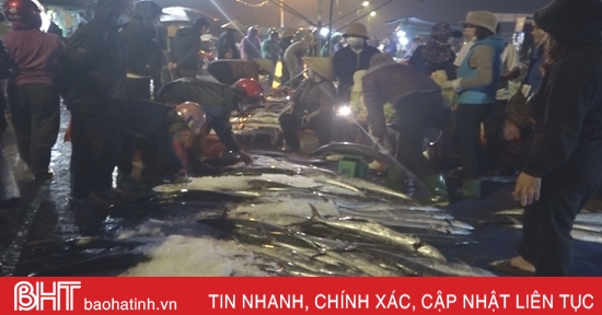 Les pêcheurs de Ha Tinh ont décroché le gros lot lors de leur dernier voyage de l'année