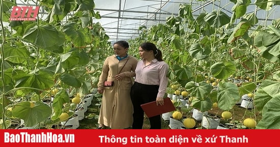 “Bà đỡ” của hộ nghèo và đối tượng chính sách