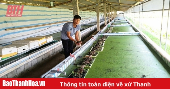 Nâng cao hiệu quả khởi nghiệp trong đoàn viên thanh niên