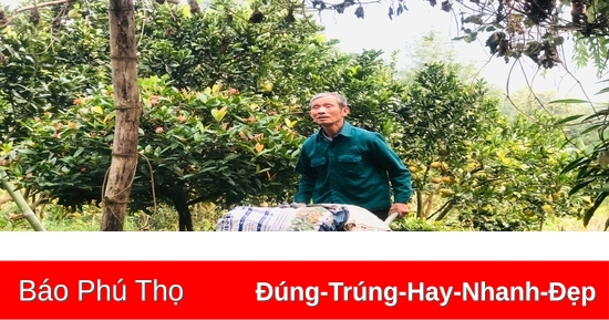 Người uy tín ở Nưa Hạ