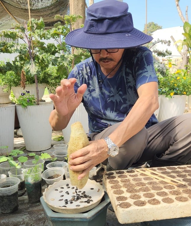 Close-up kebun buah 'unik' di Binh Duong foto 11