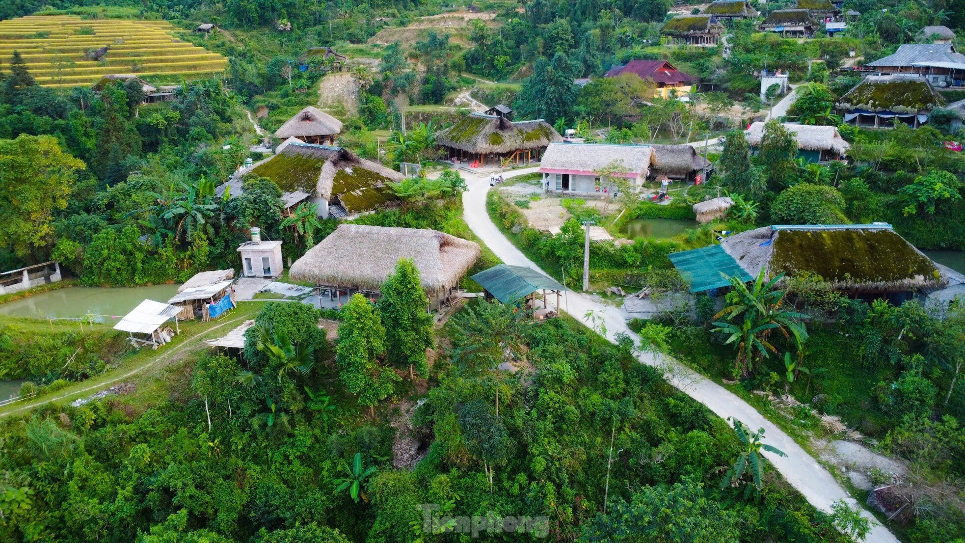 Rare, hard to find roofs that can 'transform' in Ha Giang photo 1