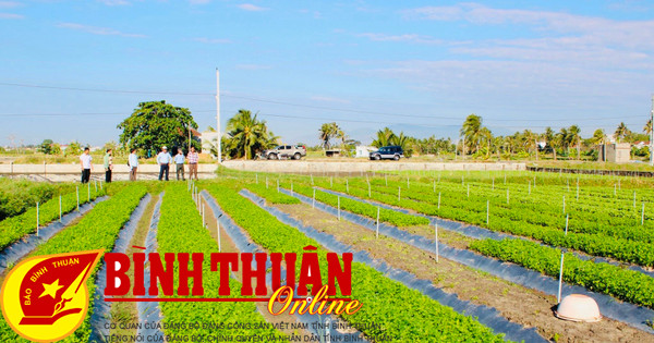 Tập huấn ứng dụng phần mềm “Nông nghiệp số Bình Thuận”