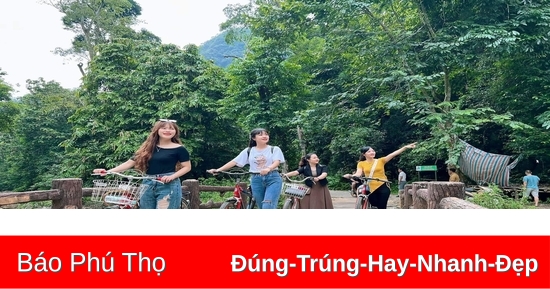 Phát triển du lịch gắn với bảo vệ rừng