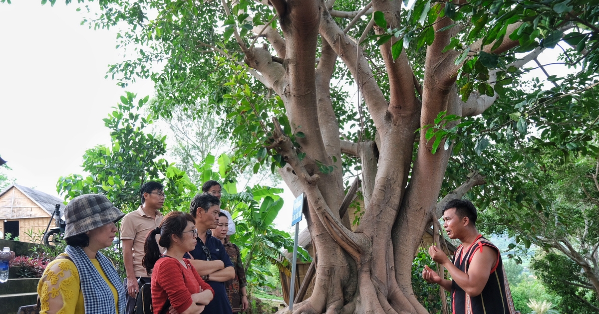 ការ​អង្កេត​សក្ដានុពល​នៃ​ការ​អភិវឌ្ឍ​ទេសចរណ៍​ជន​បទ​ក្នុង​ស្រុក​ចំនួន​៣ គឺ​ក្រុង Kbang, Mang Yang, Chu Pah