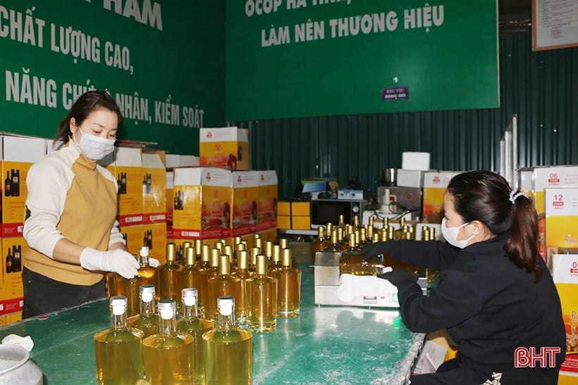 Huong Son OCOP facility speeds up production to serve Tet market