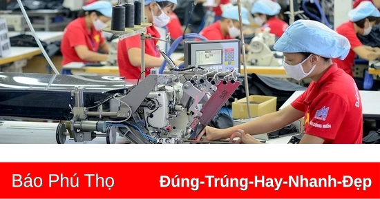 Dệt may đón cơ hội từ thị trường ngách