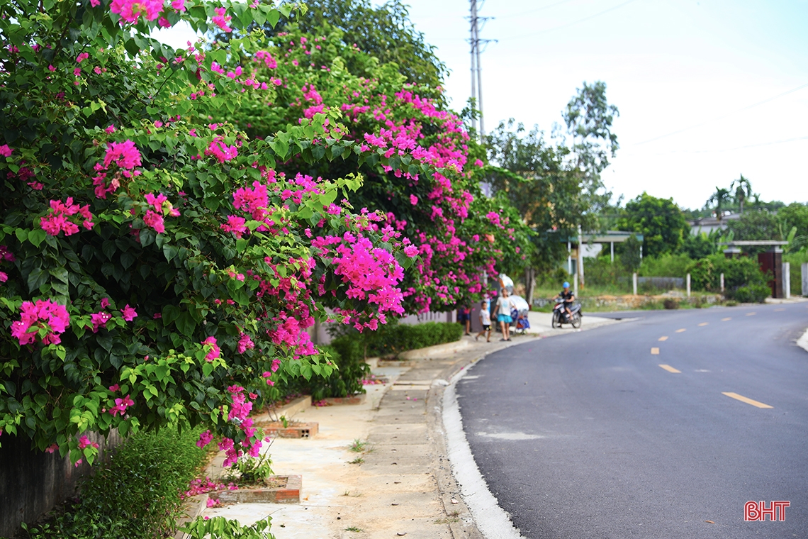 Không gian thanh bình nơi miền quê nông thôn mới ở thị xã Kỳ Anh