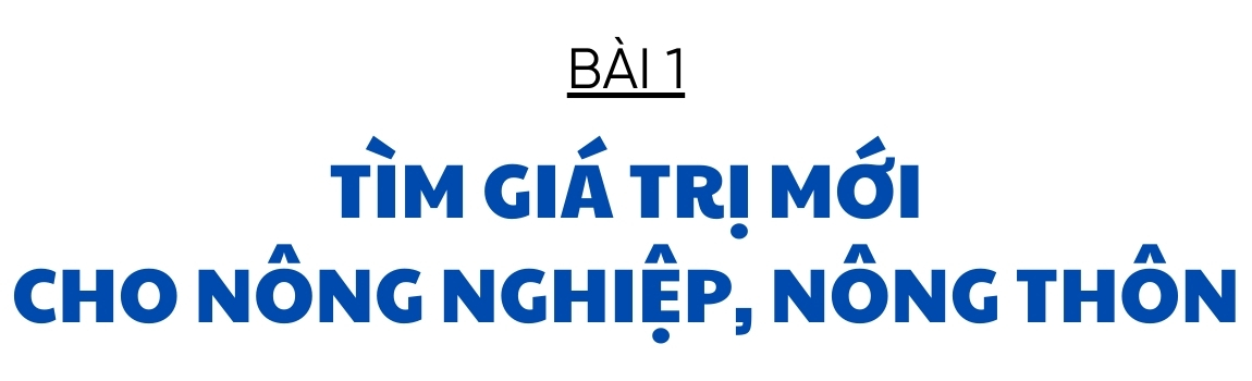 Xây dựng huyện nông thôn mới - Kỳ Anh nỗ lực bứt phá (bài 1): Tìm giá trị mới cho nông nghiệp, nông thôn