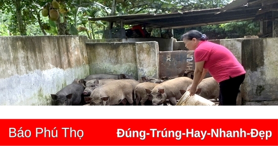 Đào tạo nghề cho đồng bào dân tộc thiểu số