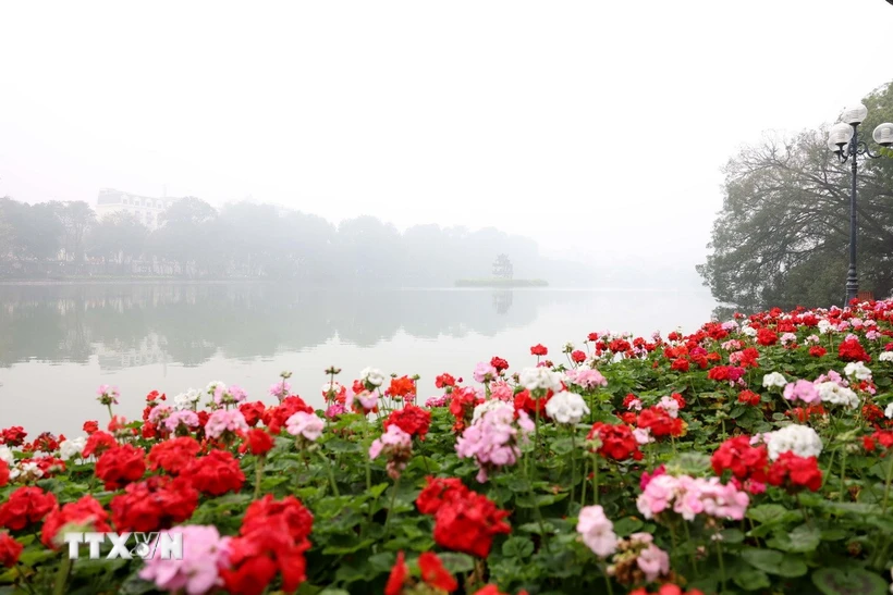 Clima el 8 de enero: Niebla a primera hora de la mañana en el norte, algo de lluvia durante el día.