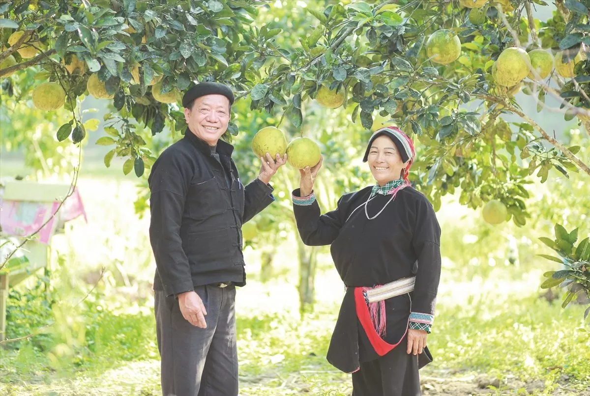 Về Nặm Đăm gặp già làng tiên phong làm kinh tế