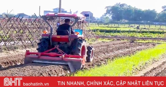 Après l'inondation, les agriculteurs de Ha Tinh se sont précipités dans les champs pour produire des légumes d'hiver.