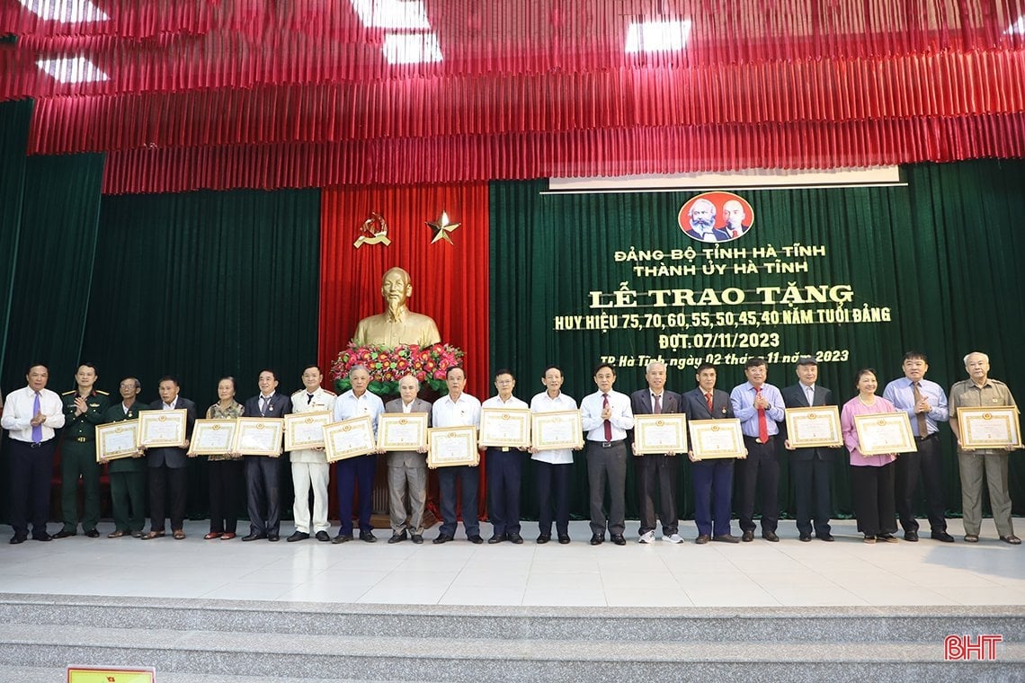 Provincial leaders award Party badges to party members in Ha Tinh city