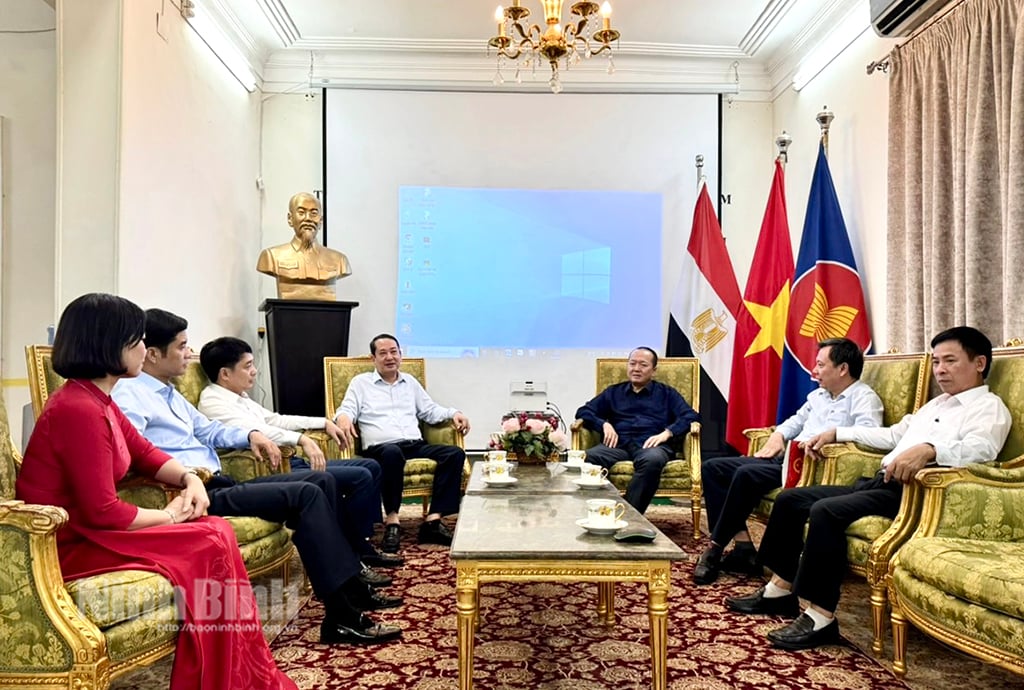 Delegation der Provinz Ninh Binh besucht Ägypten